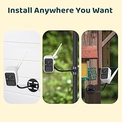 NETVUE Birdfy - Upgraded Samrt Bird Feeder Camera