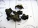 Owl Pellets (Set of 5 with Bone Chart)