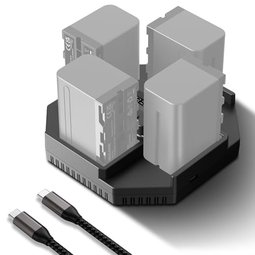 Neewer NP-F970 4 Channel Charger for NP-F550 NP-F750 Camcorder Camera Battery, 100W PD Fast Charging NPF Battery Charger with OLED Display & 100W USB C to USB C Fast Charging Cable, NW-F4