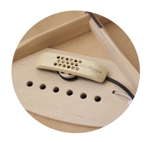 L.R. Baggs ANTHEM  Acoustic Guitar Pickup