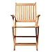 Amazonia London 2-Piece Certified Teak Patio Folding Armchair