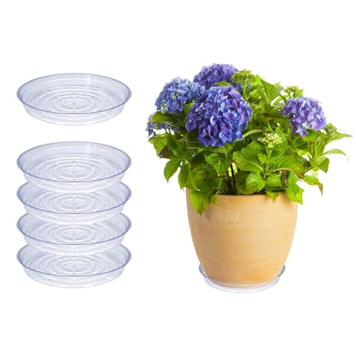 Curtis Wagner Plastics Drip Pan Plant Saucers (5-Pack) - Clear, Round (Diameter: 9" Base, 10" Top, 1.25" Depth) Thin Plastic Planter to be Used as Indoor Pot & for Outdoor Plant Pots