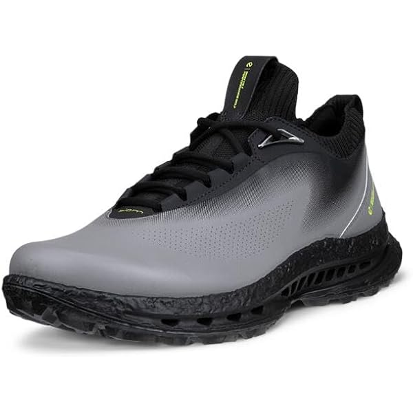 Amazon.com | ECCO Men's Biom C4 Boa Gore-tex Waterproof Golf Shoe