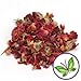 Organic Dried ROSE PETALS for Flavoring Kombucha (60-70 Servings)