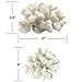 Redeco White Artificial Resin Rice Coral, Home Office Ornament, Aquarium Decoration, Ocean Sea Decor 5