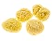 Evergreen Pet Supplies 4-Pack of Natural Hermit Crab Sea Sponges - All Natural Sponge for Crabs - Assists Safer Drinking, Provides Nutrients, Balances Tank Humidity