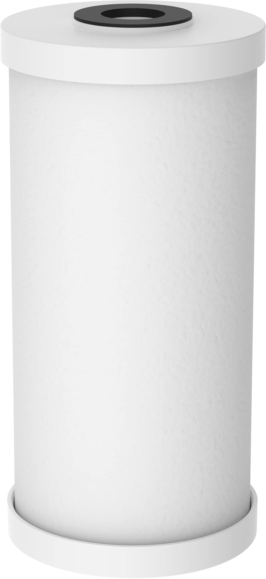 Mua Pentair Pentek RFCBB Big Blue Carbon Water Filter, 10Inch, Whole