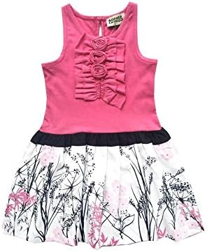 Sophie Catalou Big Girls Pink Armenia Floral Accent Drop Waist Dress 12