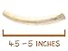 Pet Parents Gnawtlers Premium Antlers for Dogs, Naturally Shed, All Natural Dog Chew, Selected From the Heartland Region (Medium, 1 Count)