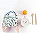 QUNANEN Lunch Bag For Women Universal Print Stripe Picnic Carry Case Thermal Portable Lunch Bag (Pink)
