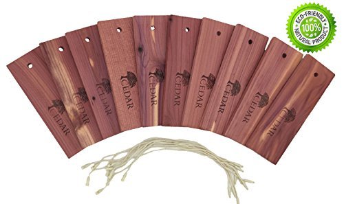 Natural Aromatic Cedar Wood Blocks Clothes Protector and Moth Repellent Storage Value Pack (14) Natural Aromatic Cedar Wood Blocks Clothes Protector and Moth Repellent Storage Value Pack (14)