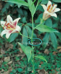 Productos de jardín boquete grande solo vástago soporte - unidades ...