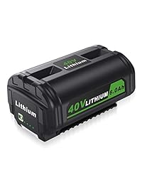 Powerextra - Batería Ryobi de 5000 mAh, 40 V, compatible con Ryobi RY40200 RY40403 RY40204