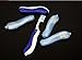 Travel Toothbrush Folding Camping Hiking Outdoor Portable Sanitary Random Color