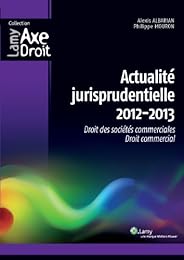 Actualité jurisprudentielle 2012-2013