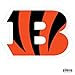 NFL Siskiyou Sports Fan Shop Cincinnati Bengals Logo Magnets 8 inch sheet Team Color