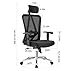 Ticova Ergonomic Office Chair with Adjustable Headrest, Armrest and Lumbar Support - High Back Mesh Chair with Thick Seat Cushion - Reclinable Computer Desk Chair