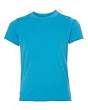 Next Level Womens Tri-Blend Crew (N6310) -VINTAGE TU -XL