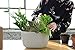 WallyGro Eco Vertical Garden Living Wall Planter Stonethumb 1