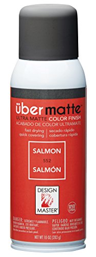 Design Master 552 Ubermatte Spray, Salmon