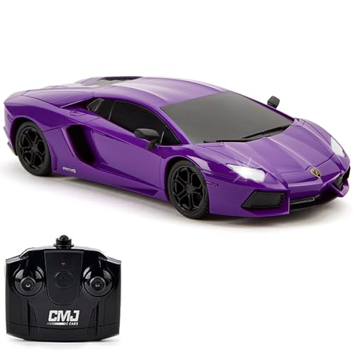 Purple Lamborghini