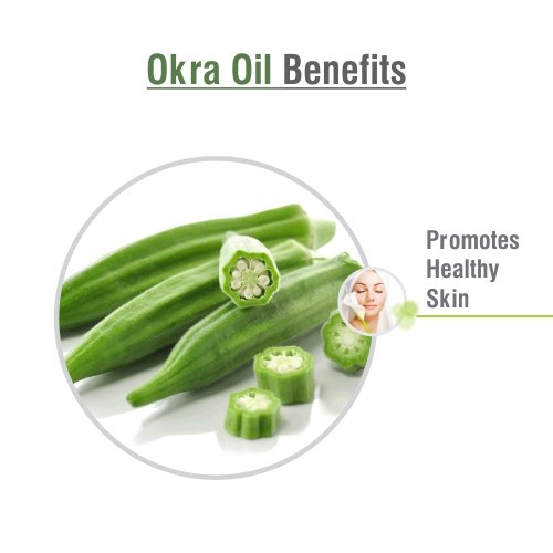 OKRA OIL 100% NATURAL PURE UNDILUTED UNCUT ESSENTIAL OIL 50ML - Thumbnail 2