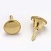 2PK 1/2" Bright Brass Knob