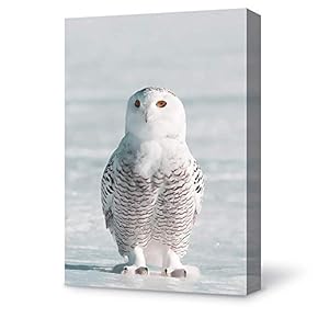 Canvas Wall Art Prey Natural Owl Canvas Painting Wall Poster Decor for Living Room Framed Home Decorations - 12x18 inches