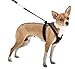 Sporn No Pull Dog Harness for Small-Sized Dogs - Black Mesh, Heavy Duty Nylon, Breathable, Lightweight, Adjustable, Padded, Soft & Easy, Anti-Pull Body Halter, Small Dog Harness for Puppies