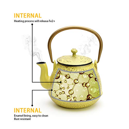 Tea Kettle, TOPTIER Japanese Cast Iron Teapot with Stainless Steel