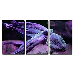 3 Piece Canvas Wall Art - a Purple Octopus Swimming Under The Ocean - Modern Home Art Stretched and Framed Ready to Hang - 16"x24"x3 Panels
