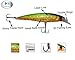 Fishing Lures Hard Bait Minnow Swimbait Crankbait Jerkbait Popper Topwater Lures with Treble Hooks 3D Eyes Freshwater Saltwater Fishing Lures for Bass Trout Walleye Pike Catfish 4.5in 0.46oz 10pcs