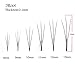 Bodermincer 0.1 C Curl 120pcs 8-16mm to Choose Individual Lashes Black False Eyelash Natural Long Cluster Extension Makeup Beauty Health Makeup Fake Eyelashes (9mm)