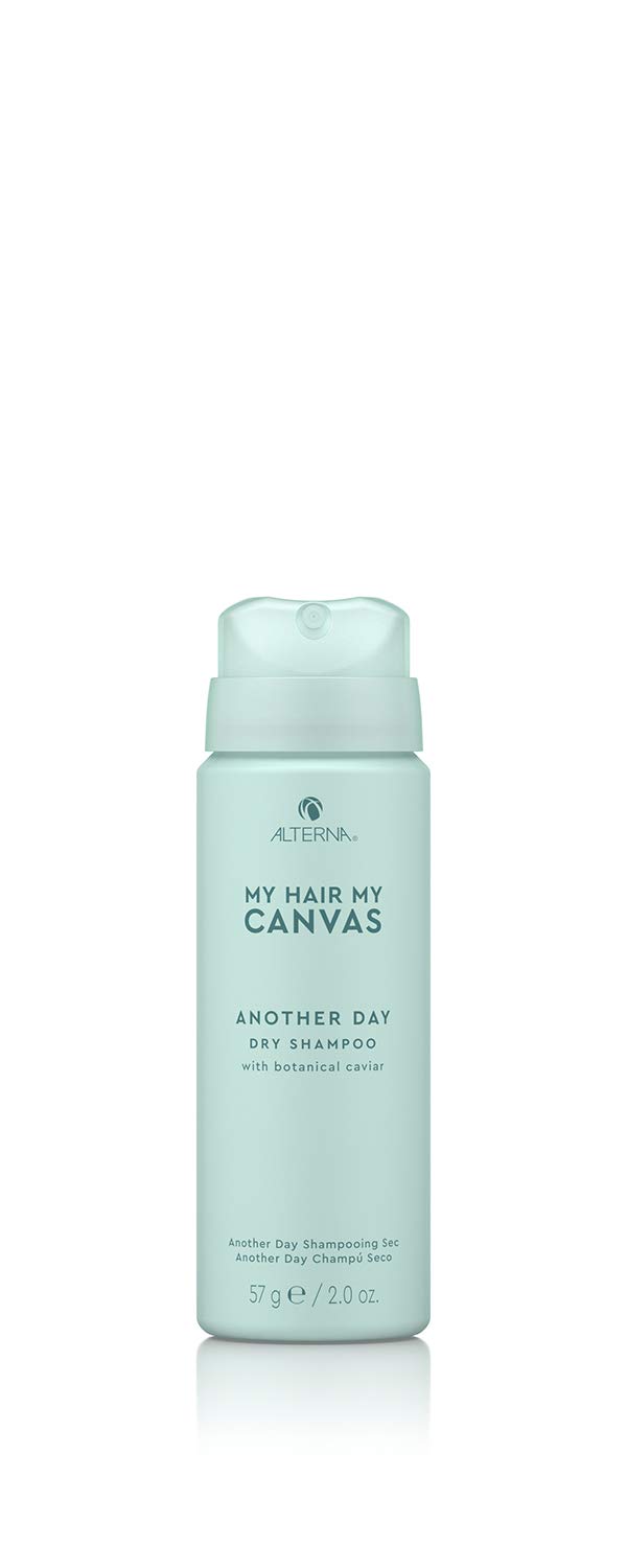 ALTERNA My Hair My Canvas Another Day Dry Sham57g