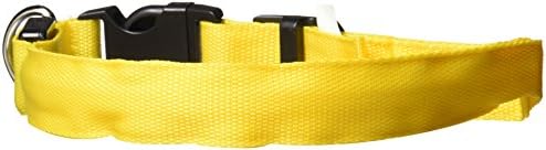 Petcessory PCL-001-YLW-M LED Pet Collar, Medium, Yellow