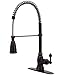 Oil Rubbed Bronze 22" Tall Gourmet Pull-Down Kitchen Sink Faucet