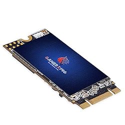 GAMERKING SSD M.2 2242 256GB NGFF Internal Solid