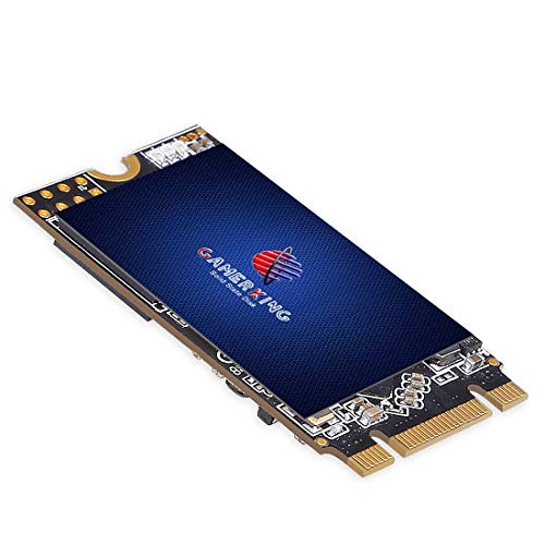 GAMERKING SSD M.2 2242 256GB NGFF Internal Solid