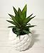 White Porcelain Pineapple Ananas Faux Plant Potted Artificial Succulent 7.8