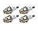 Briggs & Stratton 796112-4pk Spark Plug (4 Pack) Replaces J19LM, RJ19LM, 802592, 5095K