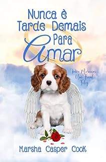 Livro Nunca É Tarde Demais Para Amar: Todos Merecem Um Final Feliz