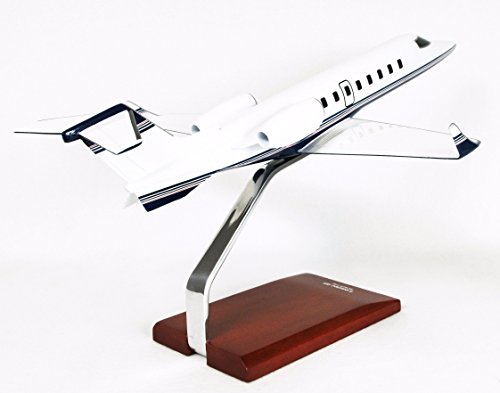 Learjet 45 - 1/35 scale model - 1/35 scale model