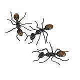 3Pcs Black Plastic Ant Joke Trick Toy