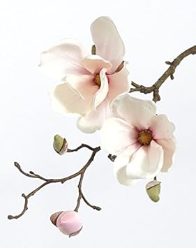 artplants Künstlicher Magnolien Zweig MALBINE, 2 Blüten, weiß-rosa, 50 cm - Deko Zweig/Künstliche Magnolie