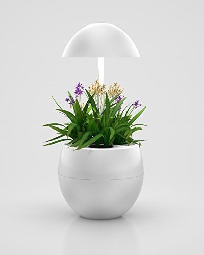 123WeGrow Hydroponic Indoor Garden System, LED Lights, Automatic, Grow Herbs, Grow Vegetables