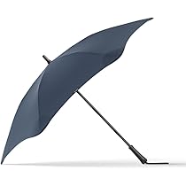 Amazon.com: BLUNT Metro Travel Umbrella – 39