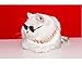 Stock Show Funny Cute Dog Cat Retro Fashion Sunglasses Mosaic Glasses Transparent Eye-wear Protection Puppy Cat Teacher Bachelor Cosplay Glasses Pet Photos Props for Small Dog, Black