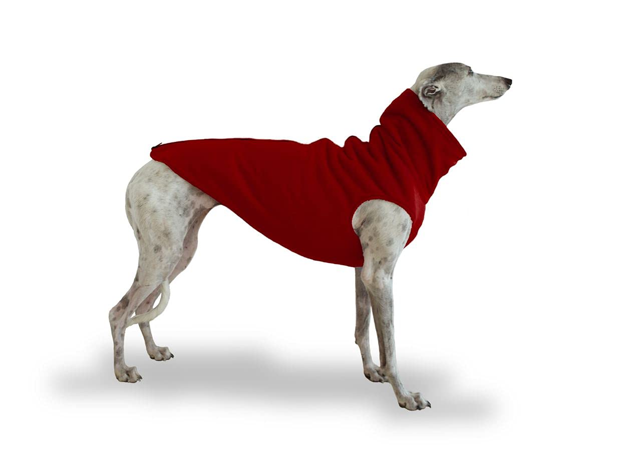 Galguita Amelie Bordeaux Greyhound Coat Size M (66 to 72 cm in diameter)