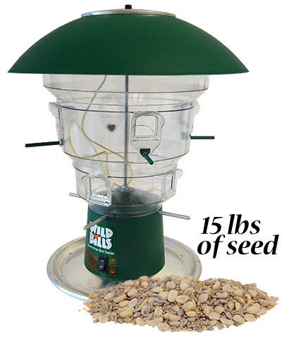 Amazon Com Bestnest Wild Bills Electronic Bird Feeder Waste