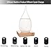 FOXKEY Creative Stylish Desktop Drops Storm Glass Crafts Weather Bottle Forecast Bottle Barometer (Large)